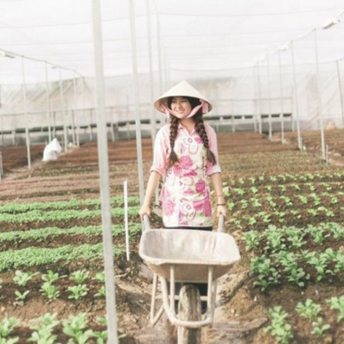 Khởi Nghiệp Bằng Nghề Nông: Nên Bắt Đầu Từ Đâu?