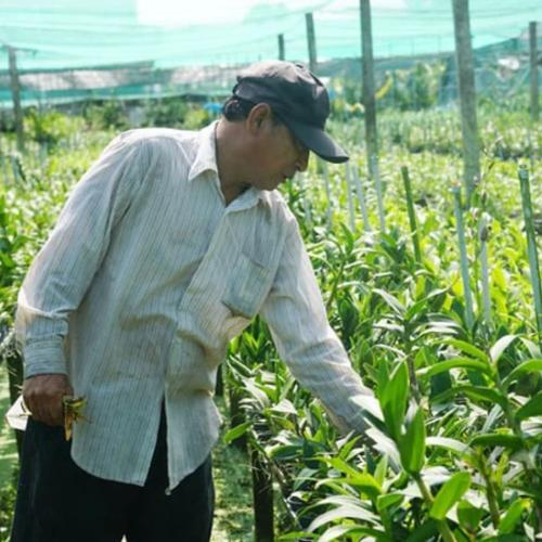 Thúc Đẩy Ứng Dụng Công Nghệ Sinh Học Trong Sản Xuất Nông Nghiệp