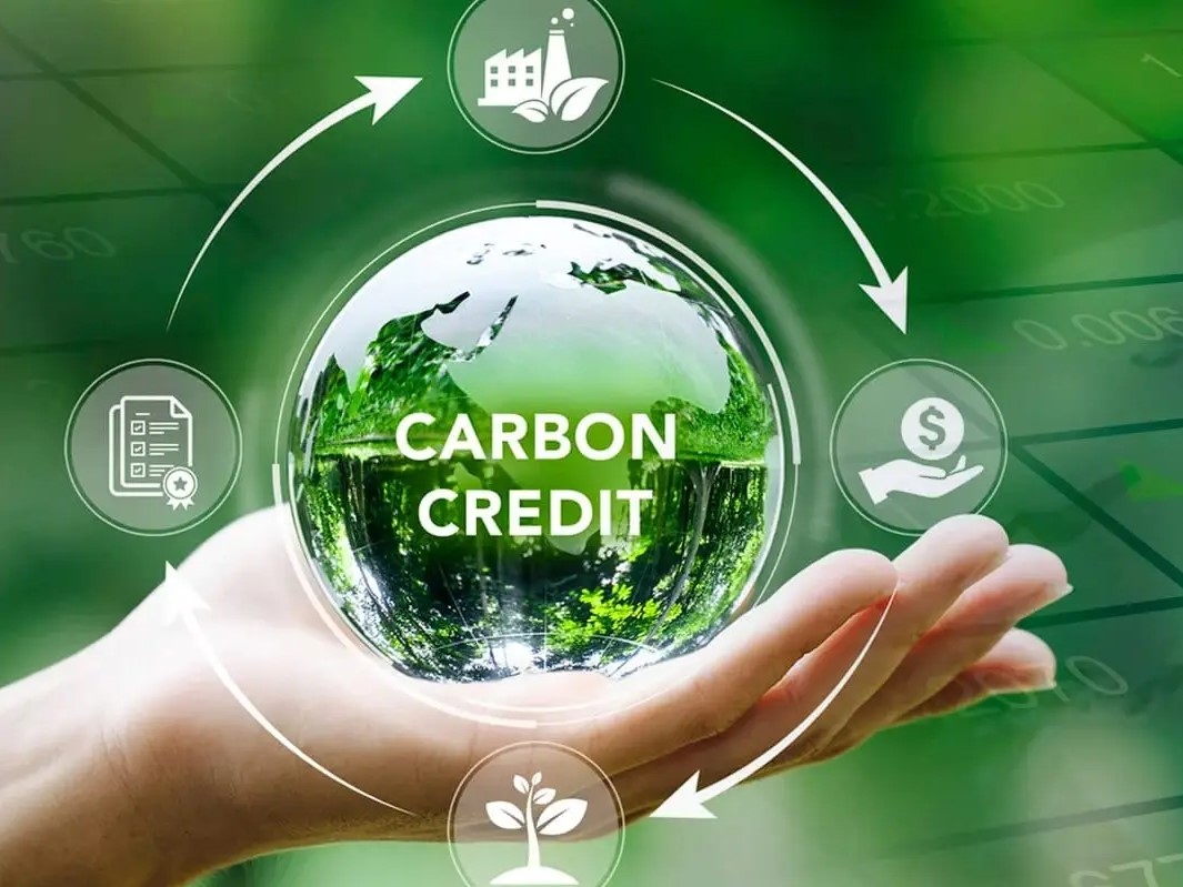 Lợi ích nguyên liệu bền vững