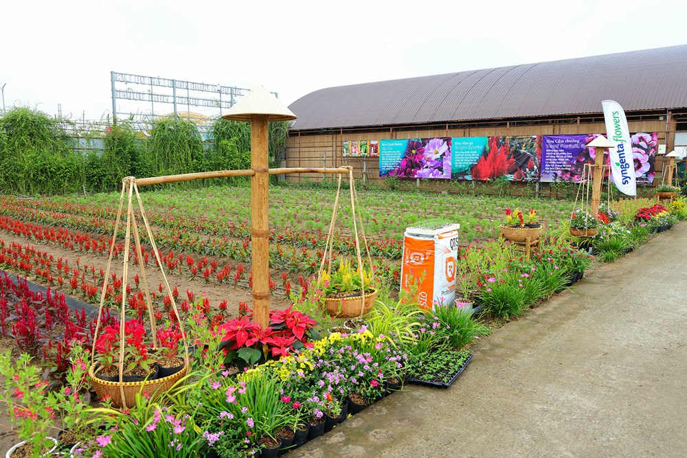 Trải nghiệm du lịch đa sắc màu tại Festival 2025