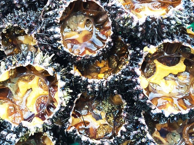 Những trải nghiệm khi ghé thăm