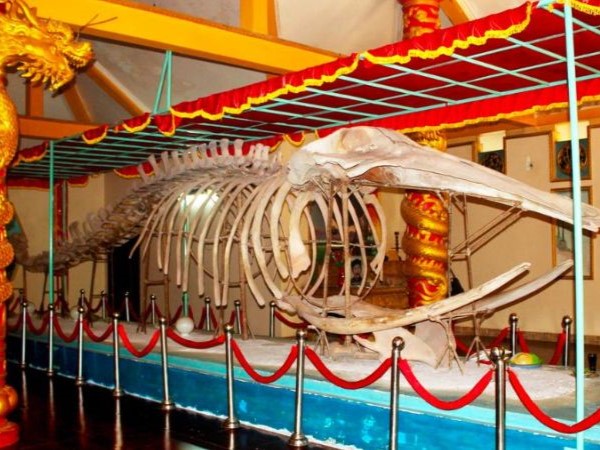 Lịch sử hình thành và phát triển