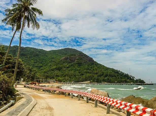 Mục tiêu và vai trò