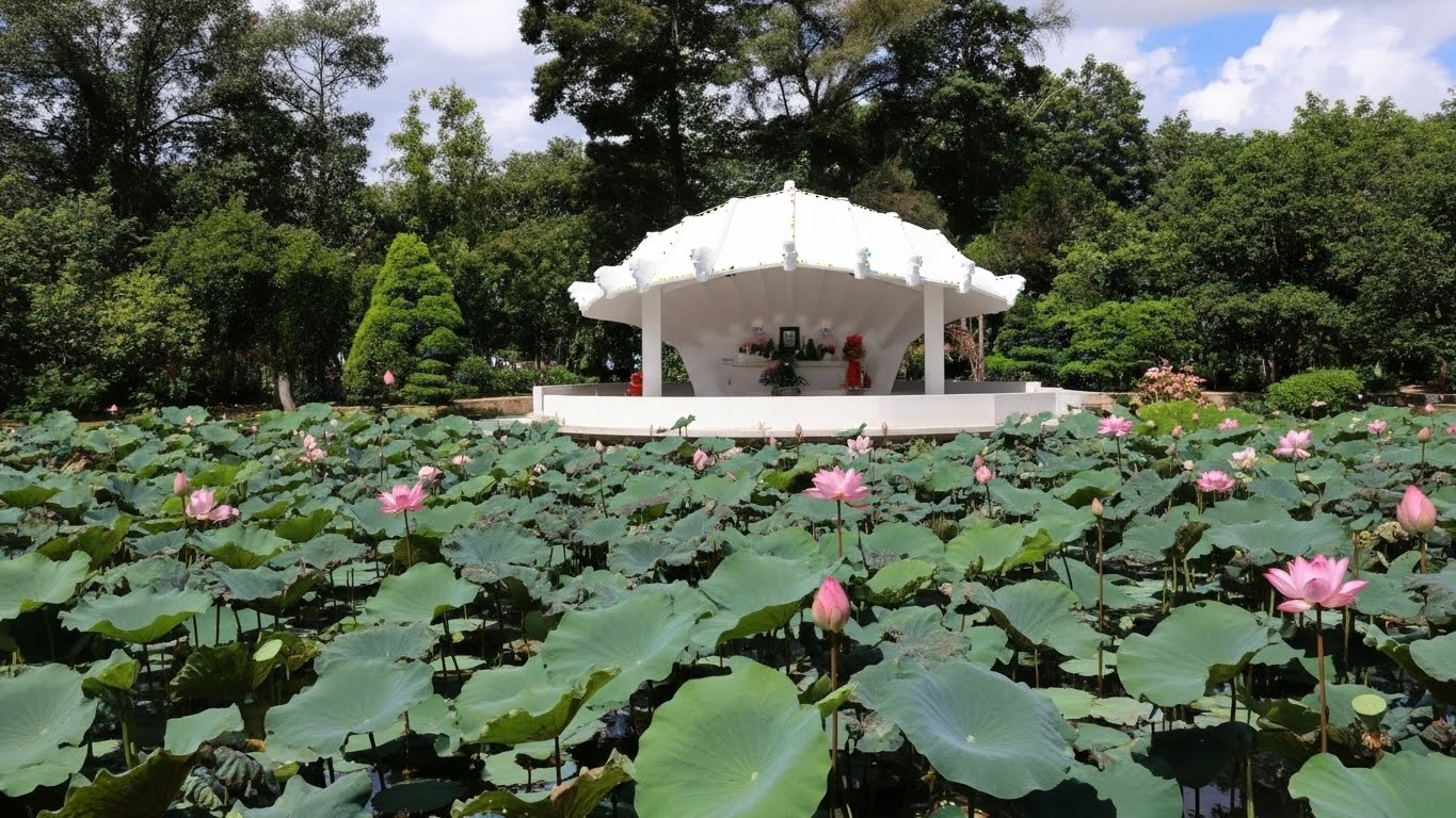 Khu di tích Nguyễn Sinh Sắc – điểm đến văn hóa, lịch sử tiêu biểu của Đồng Tháp