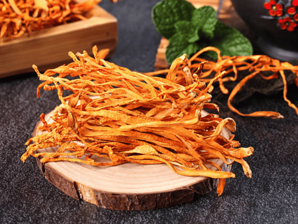 Đông trùng hạ thảo kết hợp nhân sâm