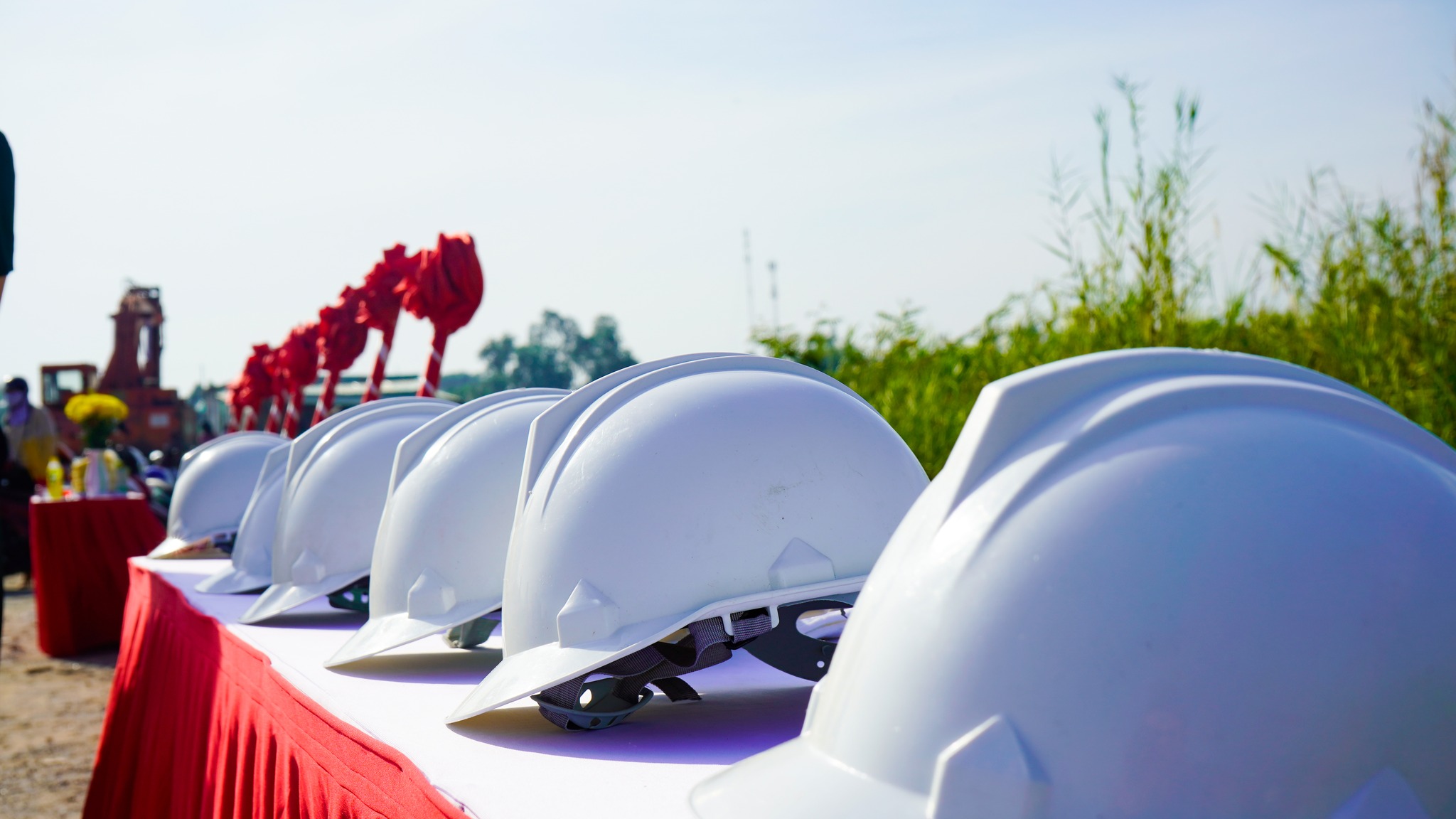 Lĩnh vực hoạt động