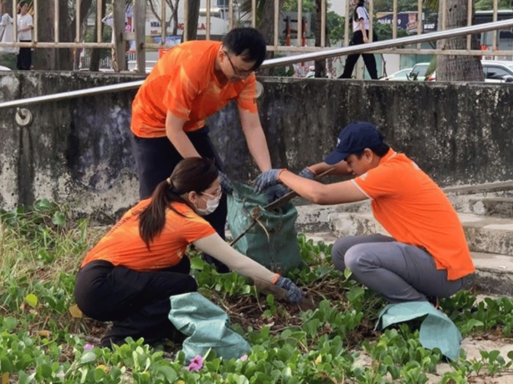Phạm vi & mục đích của hoạt động