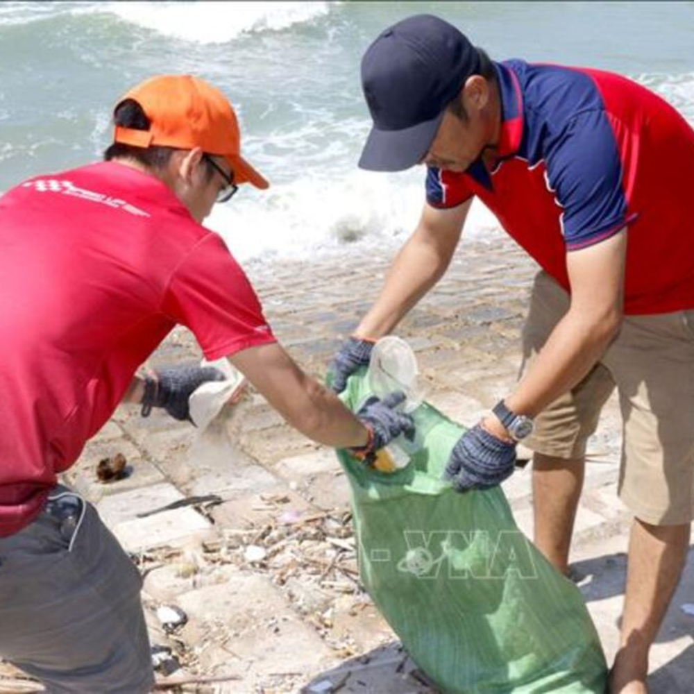 Chương Trình “Hãy Làm Sạch Biển” Thu Hút Đông Đảo Đoàn Viên, Thanh Niên Và Tình Nguyện Viên Tham Gia