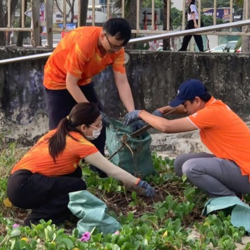 Hơn 600 Tình Nguyện Viên Chạy Bộ, Dọn Rác Vì Môi Trường Tại Đà Nẵng