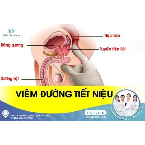 Viêm Đường Tiết Niệu: Định Nghĩa, Nguyên Nhân, Biểu Hiện Là Gì?