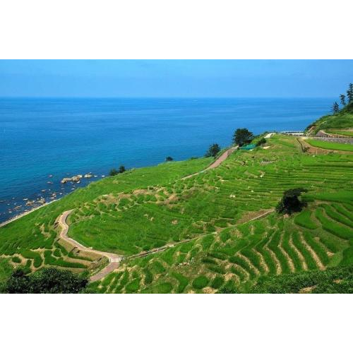 Du Lịch Nhật Bản: Những Điểm Đến Hấp Dẫn Mà Ít Người Biết