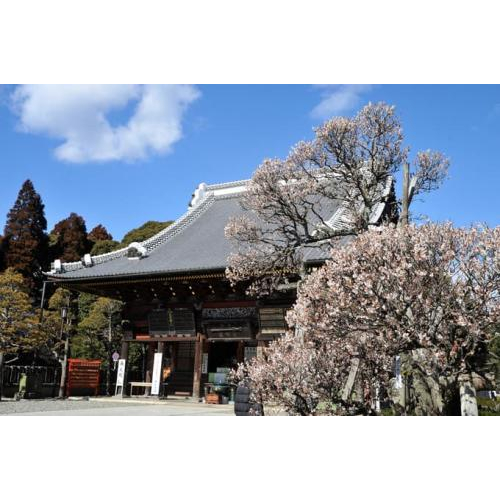 Những Điểm Check-in Quanh Hai Sân Bay Lớn Nhất Nhật Bản