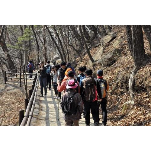 Những Trải Nghiệm Tuyệt Vời Bạn Phải Thử Ngay Và Luôn Khi Tham Gia Tour Đi Hàn Quốc