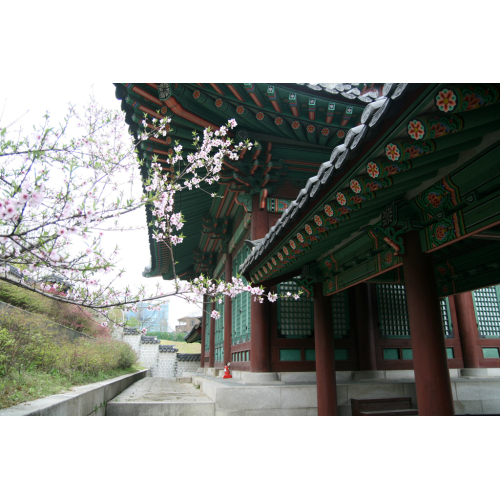 8 Điều Miễn Phí Rất Đặc Biệt Tại Seoul Nhất Định Bạn Phải Biết