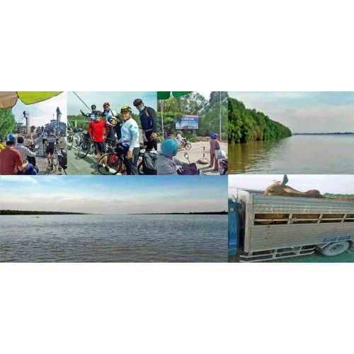 Đạp xe khám phá 09 cửa sông Cửu Long