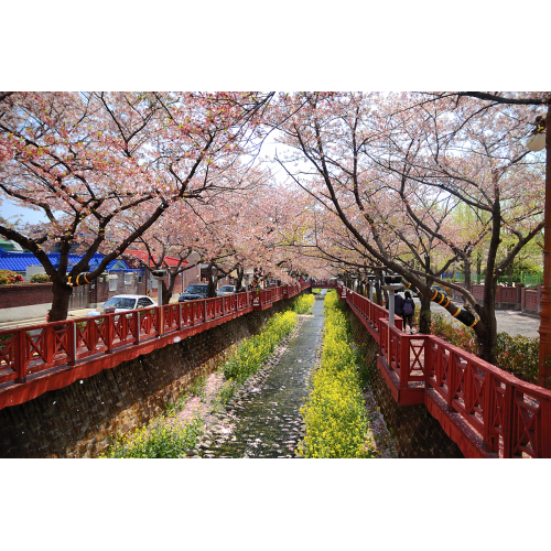 Tiền Nhiều Để Làm Gì, Sao Không Chọn Tour Thưởng Ngoạn Xứ Kim Chi