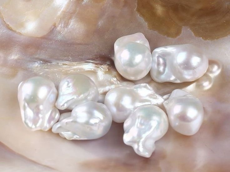 Tôn vinh gương mặt với hoa tai ngọc trai Baroque độc đáo