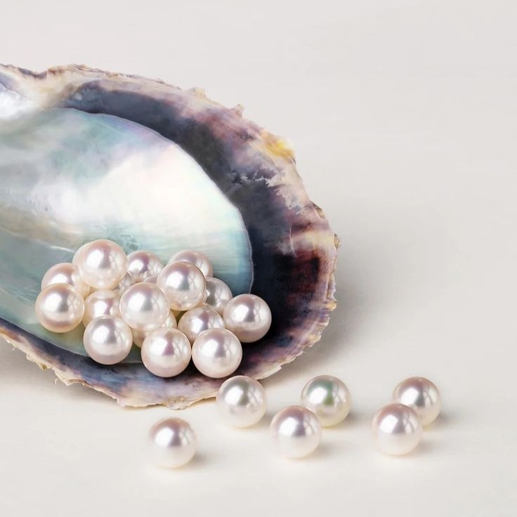 Ý Nghĩa Phong Thủy Của Ngọc Trai Nguồn Năng Lượng Lành Từ Biển Cả