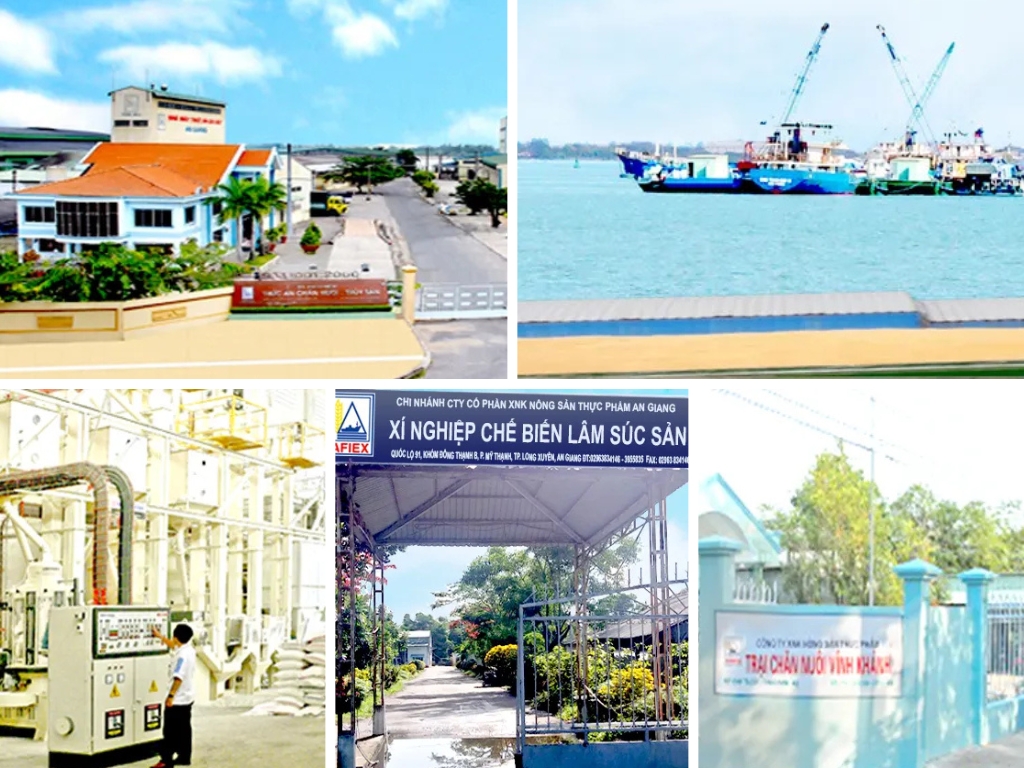 Core Business Pillars