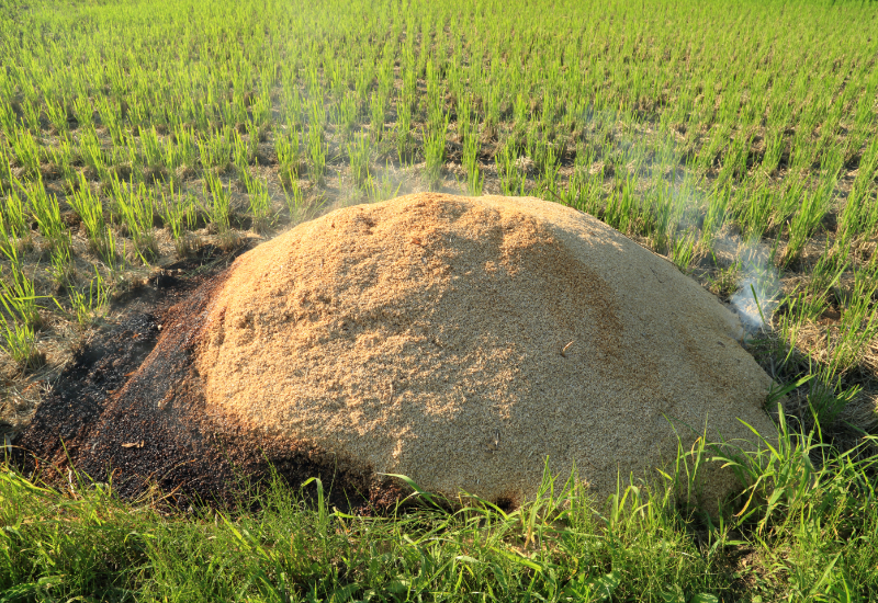 Kết cấu xốp giúp giữ nước hiệu quả