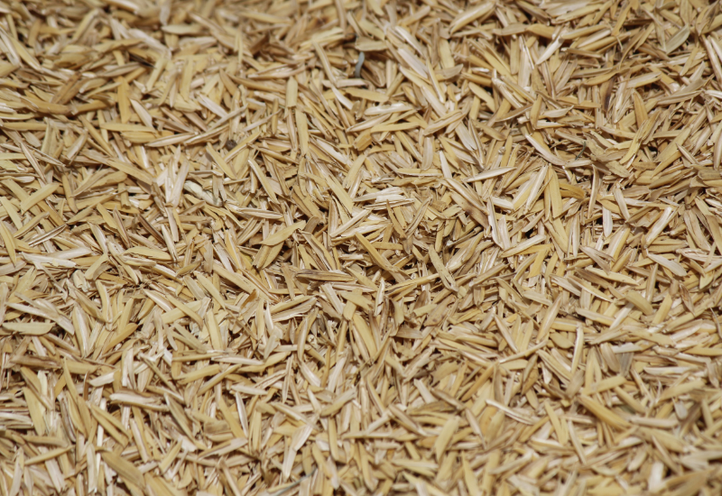 Ứng dụng thực tiễn