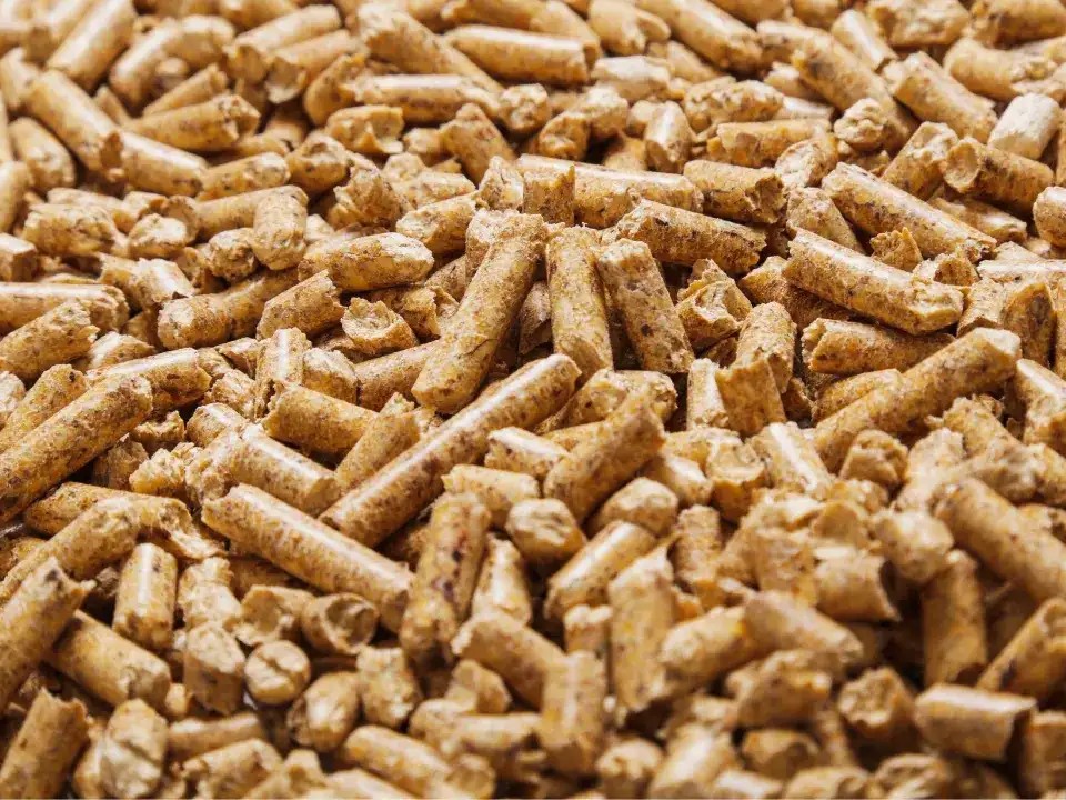 Than đá vị vua đang lùi vào quá khứ