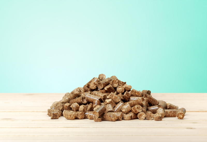 Chu trình carbon tự nhiên của sinh khối