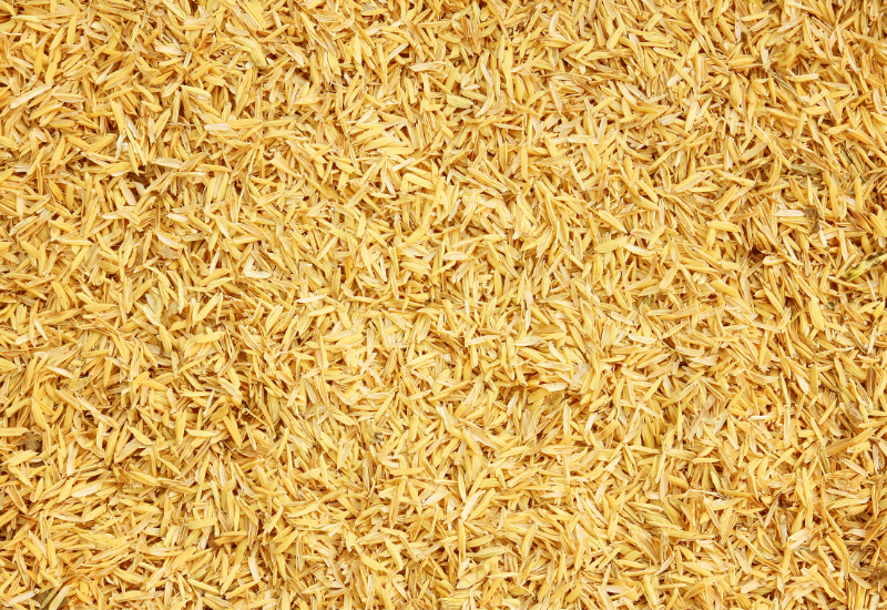 Hấp thụ độ ẩm và giảm mùi hôi