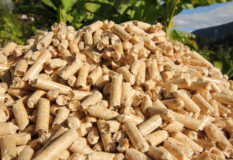 Khả năng sử dụng trong bếp đốt nhiên liệu sinh khối