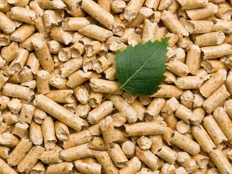 Vận tải carbon thấp giấy thông thành tiến ra thế giới