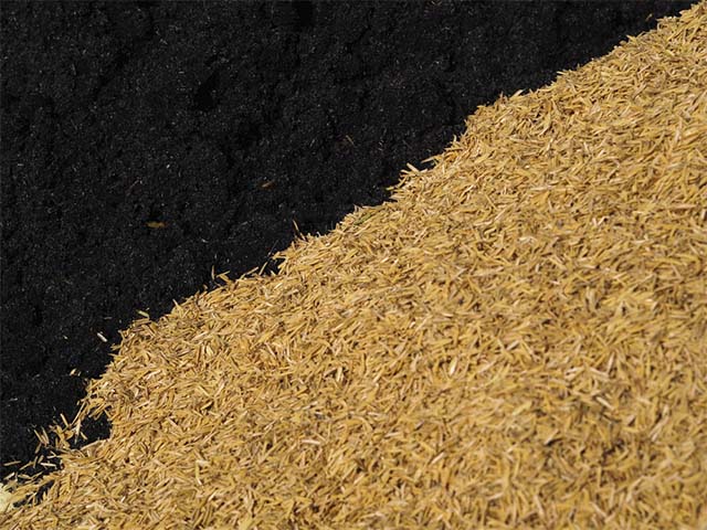 Tro trấu sau khi đốt