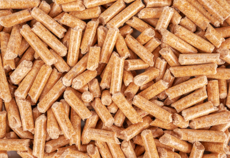 Tác động môi trường