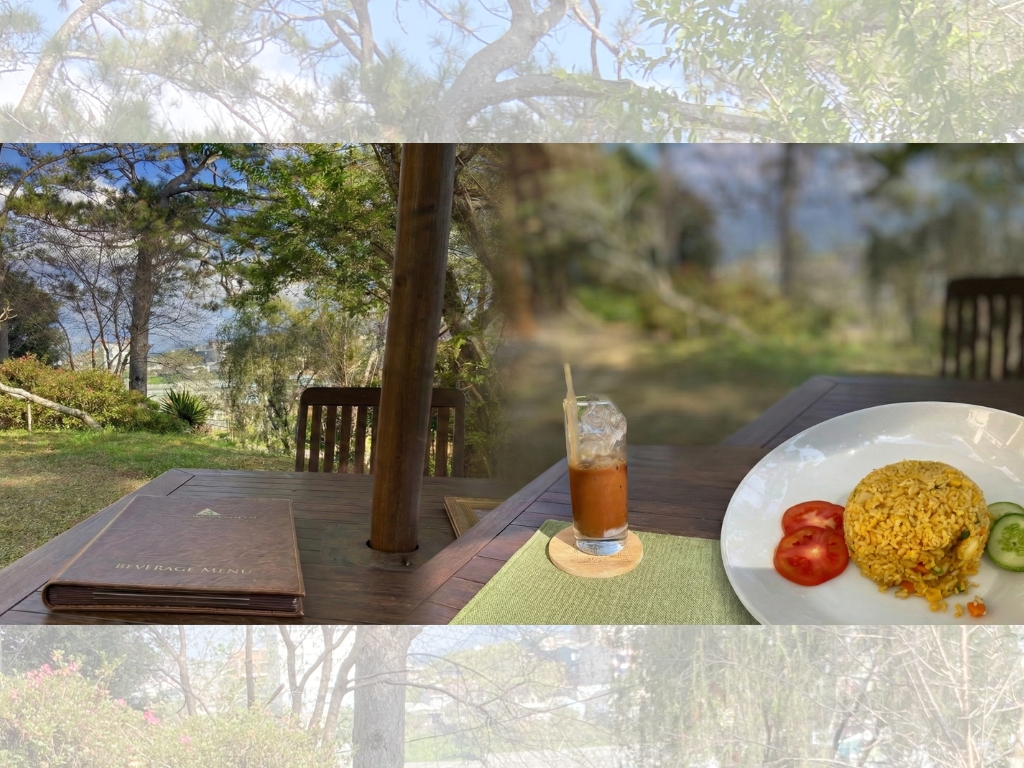 Vị khách không mời và cái chạm của thiên nhiên