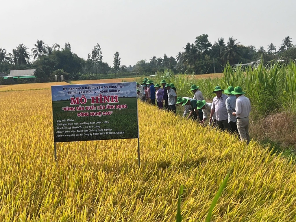 II. Định hướng phát triển