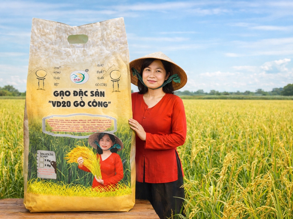 Kết quả Top 20 sản phẩm OCOP tiêu biểu