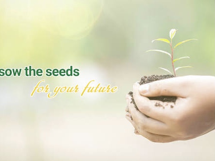 3 Tầm nhìn của ANGIMEX