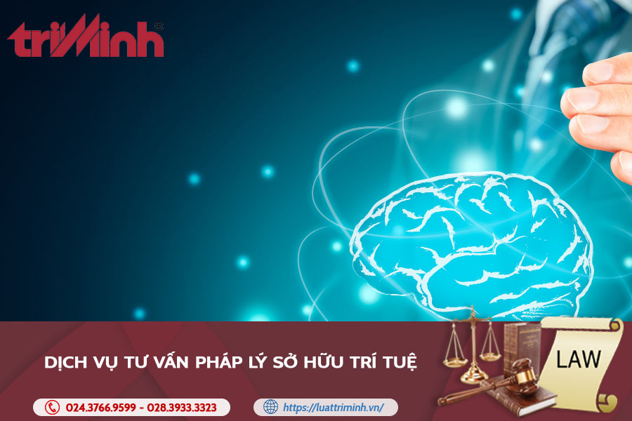 Sở hữu trí tuệ là gì?