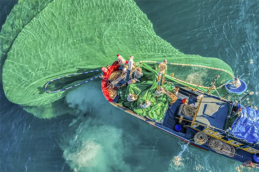 Cam kết chất lượng