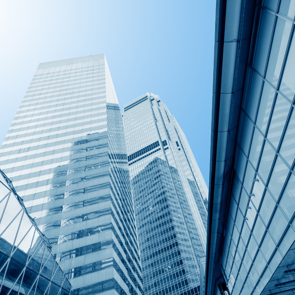 Hướng Dẫn Số Hóa Thông Tin Doanh nghiệp