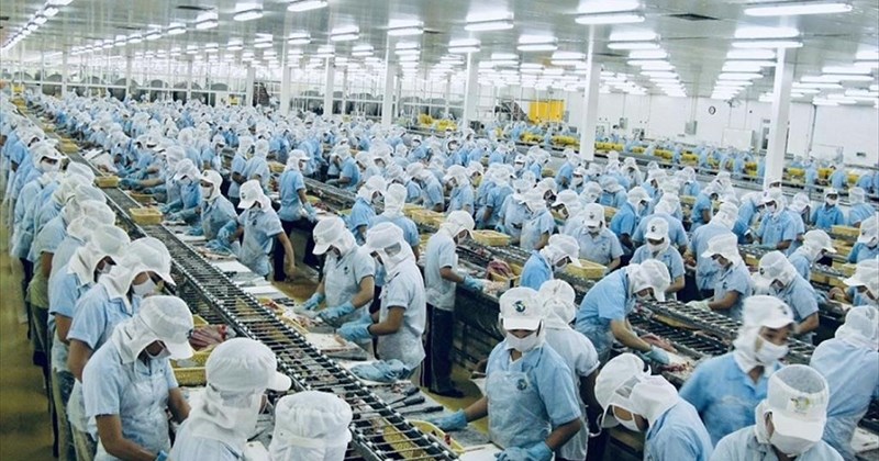 Lịch sử hình thành