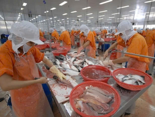 Mô hình kinh doanh & sản phẩm