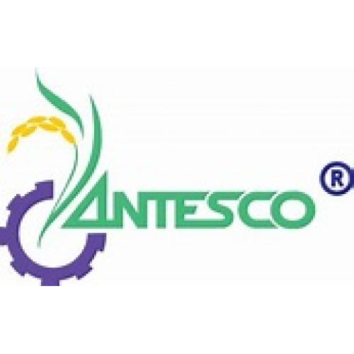 Công Ty CP Rau Quả Thực Phẩm An Giang (Antesco)