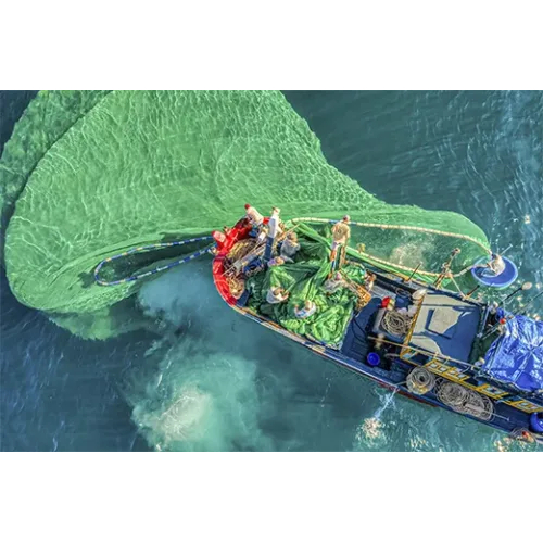 Cam kết chất lượng