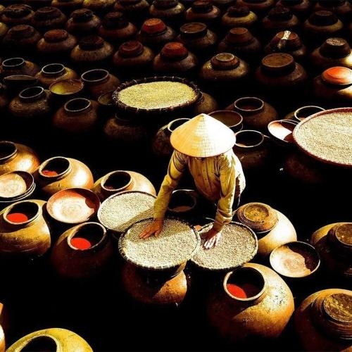 Thời Gian Ủ Nước Mắm Bao Lâu Là Chuẩn? Bí Quyết Chọn Đúng Loại Phù Hợp