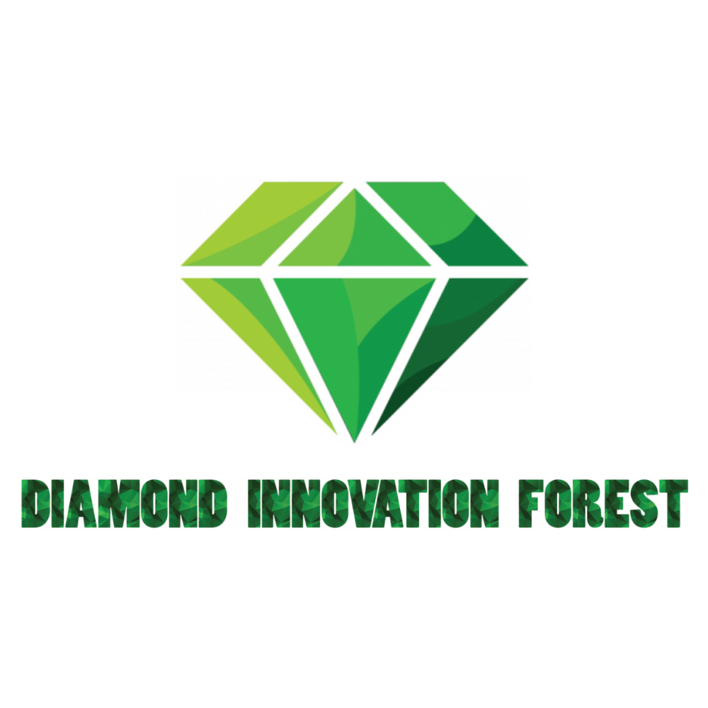 Công Ty Cổ Phần Diamond Innovation Forest