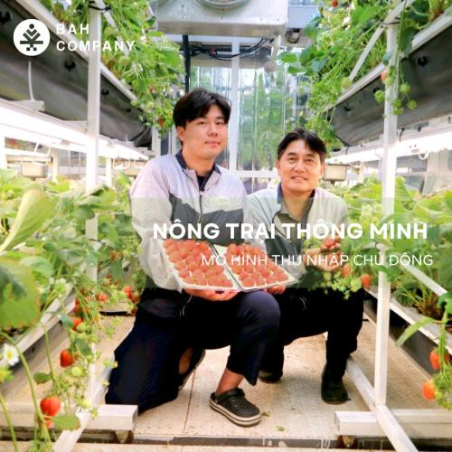 Smart farm