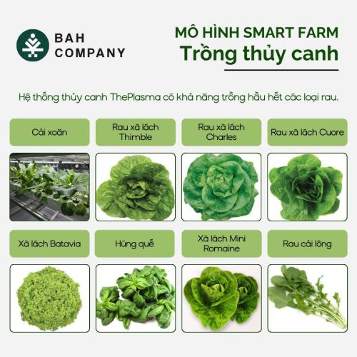 Smart farm