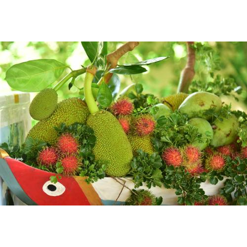 Một số hình ảnh hoạt động: