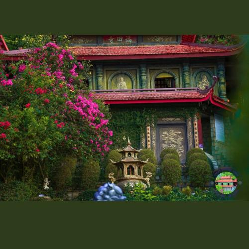 PHƯỢNG VỀ GIỮA CHỐN THIỀN MÔN
