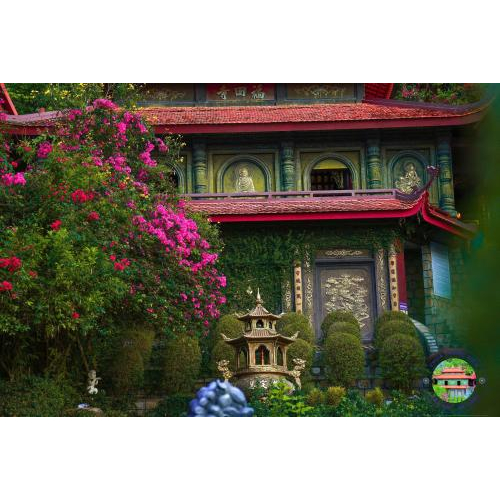 PHƯỢNG VỀ GIỮA CHỐN THIỀN MÔN